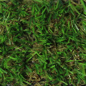 Green synthetic turf
