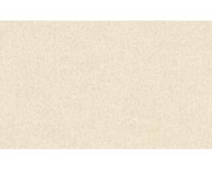 Papel Parede creme
