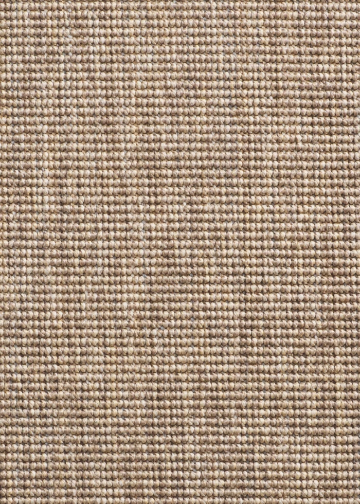 Sisal carpet with some relief in brown and beige colours