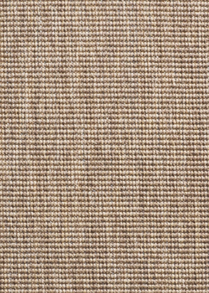 Sisal carpet with some relief in brown and beige colours