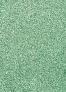 Green medium-length rug