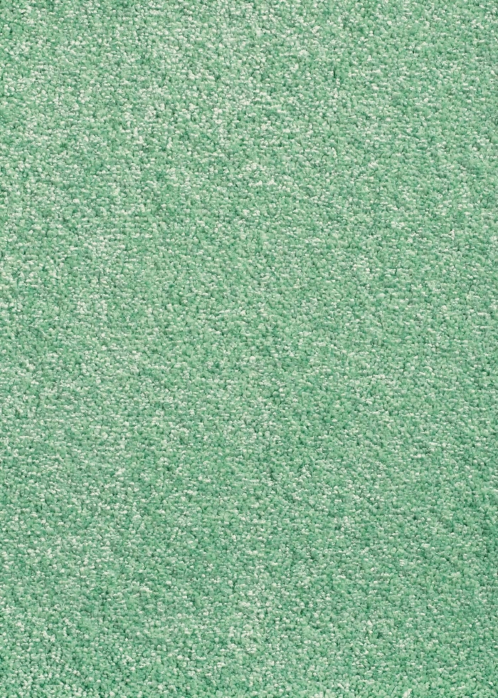 Green medium-length rug