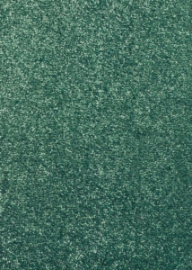 Dark green medium-length rug