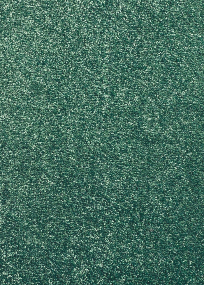 Dark green medium-length rug