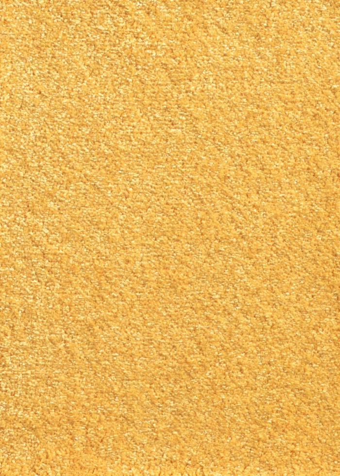 Orange medium-length rug