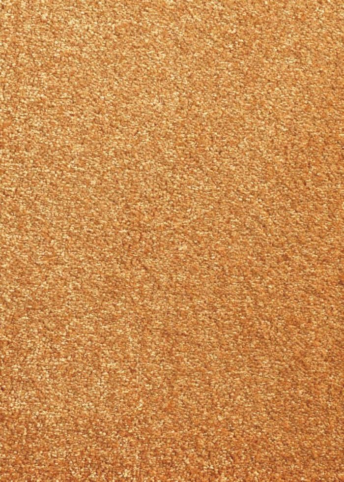 Orange medium-length rug