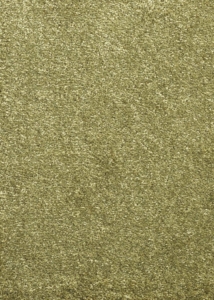 Green medium-length rug