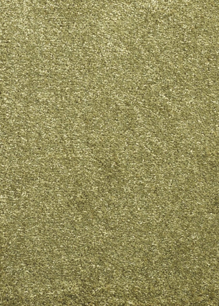 Green medium-length rug